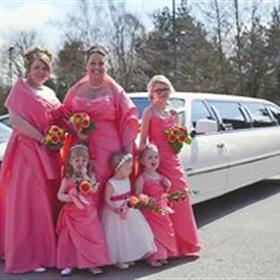 fwthumbRuths Bridesmaids 2013.jpg